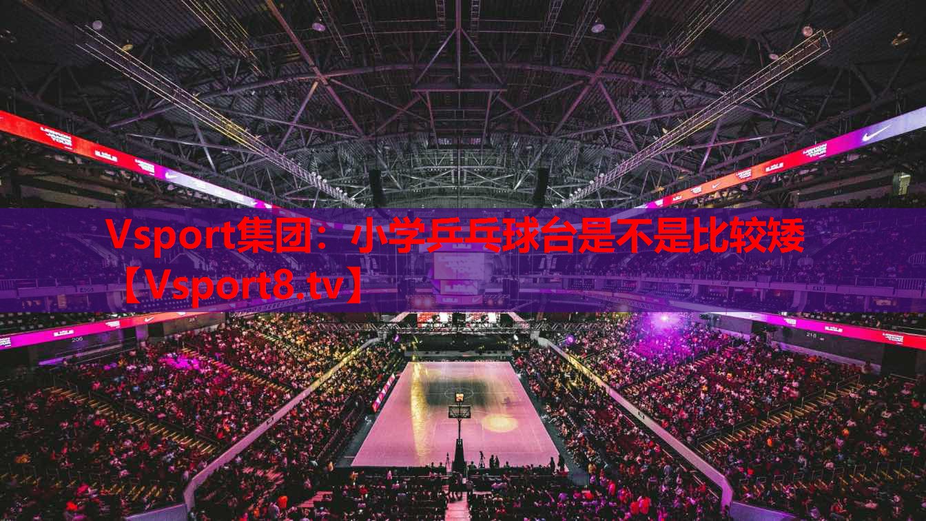 Vsport集團(tuán)：小學(xué)乒乓球臺是不是比較矮