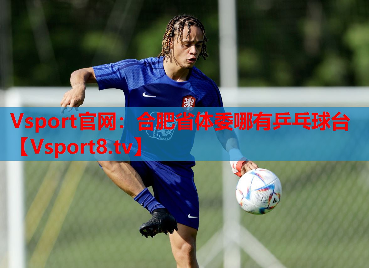 Vsport官網：合肥省體委哪有乒乓球臺