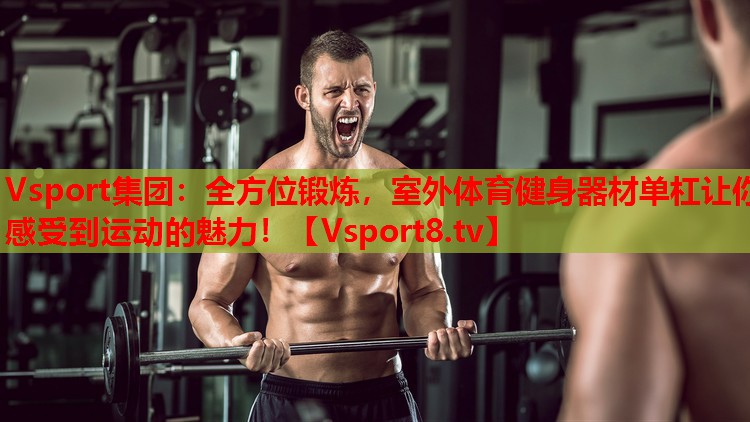 Vsport集團(tuán)：全方位鍛煉，室外體育健身器材單杠讓你感受到運(yùn)動(dòng)的魅力！