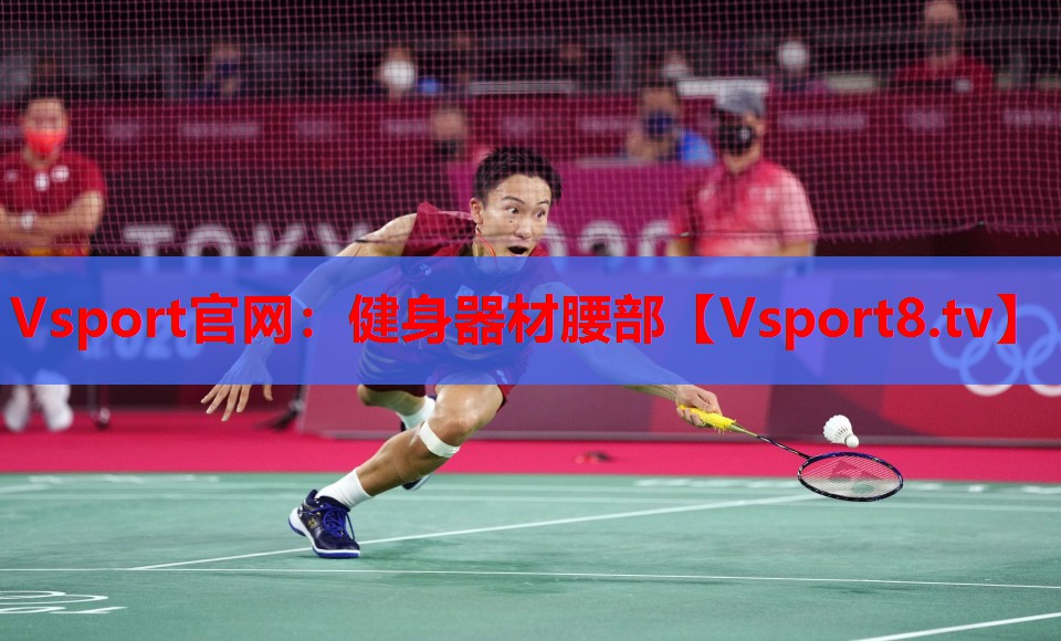 Vsport官網(wǎng)：健身器材腰部