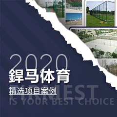 【回顧】2020年體育全年精選項目案例！